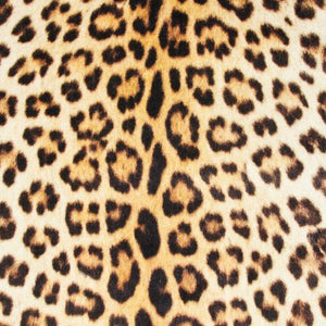 Animal Print Rug Area Throw Carpet Living Room Bedroom Dining Floor Mat Jungle 5x8